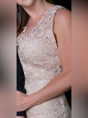 Sleeveless Lace Bodycon Dress in Blush